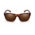 Brown Leopard Square Trendy Polarized Sunglasses for Men and Women